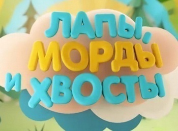 Лапы, морды и хвосты Дикобраз