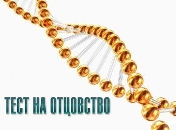 Тест на отцовство 302 серия